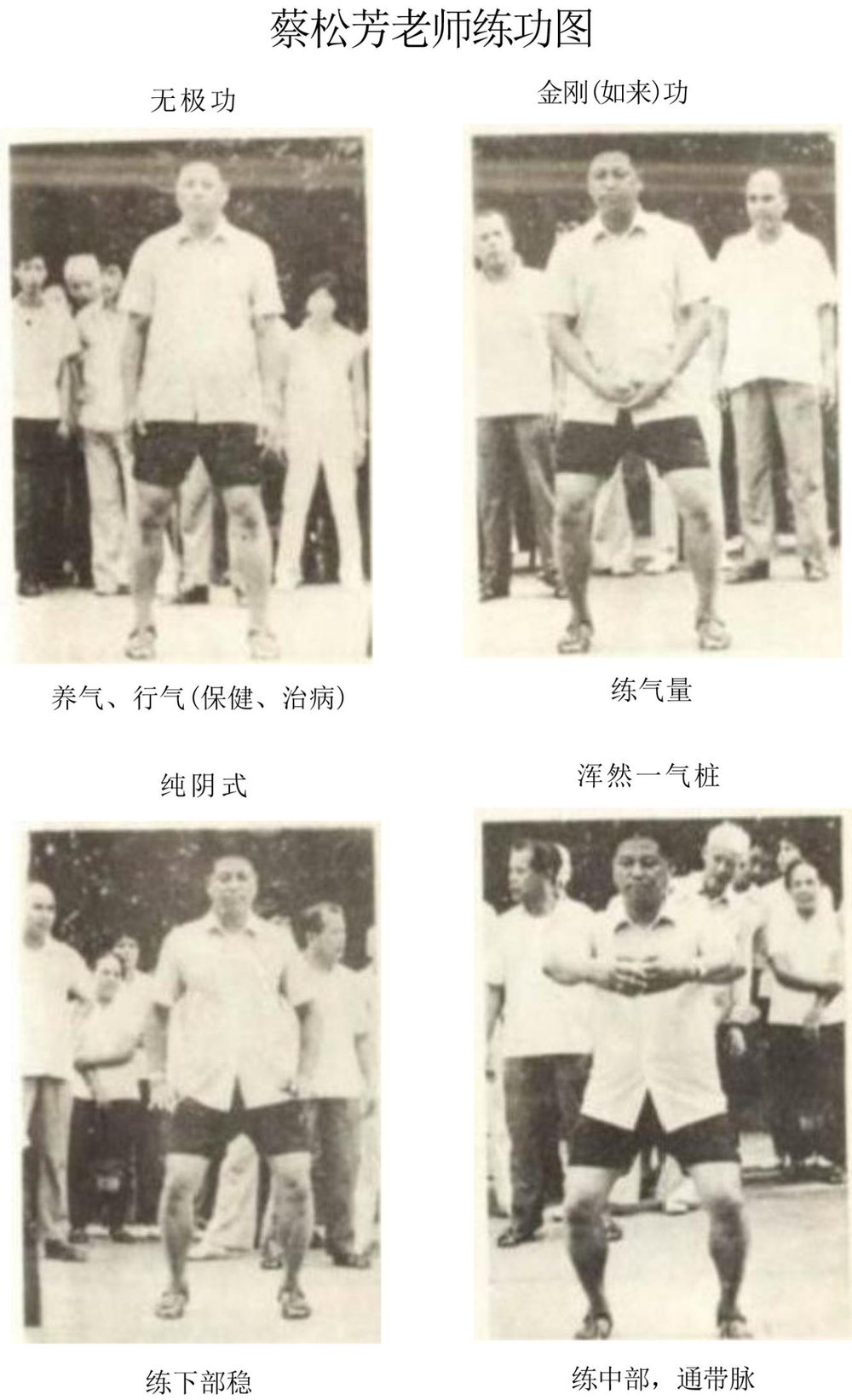 蔡松芳老师练功图:无极功(养气、行气)、金刚(如来)功、纯阴式、浑然一气桩