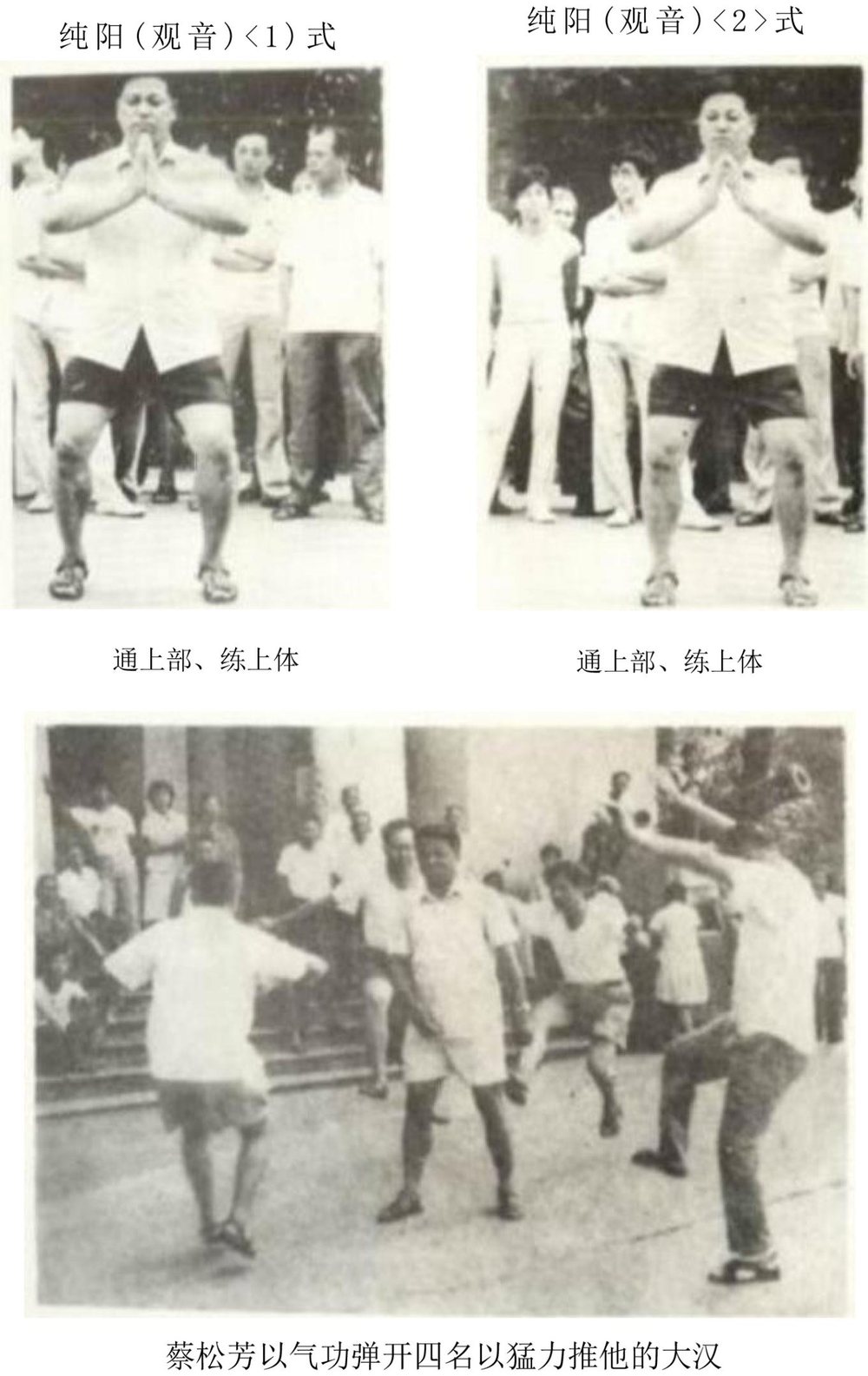 上:纯阳(观音)一、二式;下:蔡松芳以气功弹开四名猛力推他的大汉